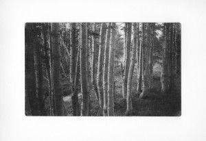 Sticks and Stones 15